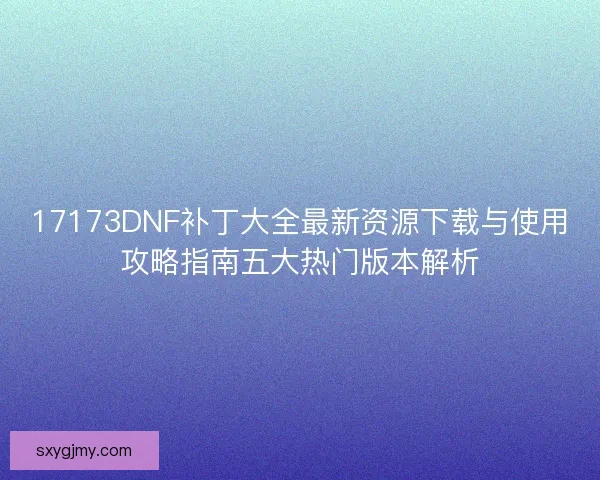 17173DNF补丁大全最新资源下载与使用攻略指南五大热门版本解析